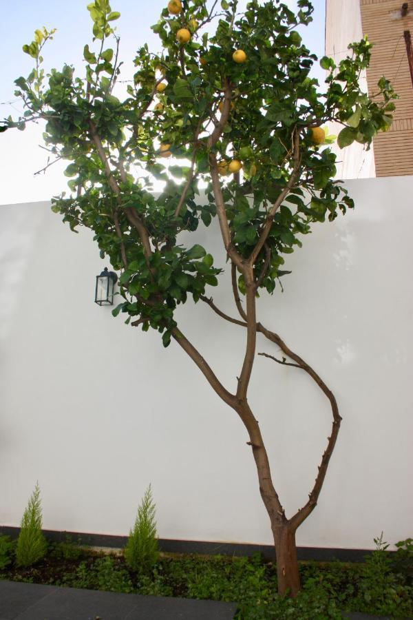 Bed and Breakfast Lemon Tree Torre Annunziata Esterno foto